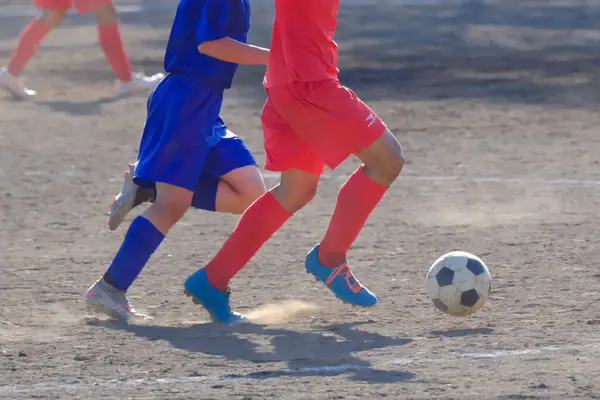 V-League 2025–2026